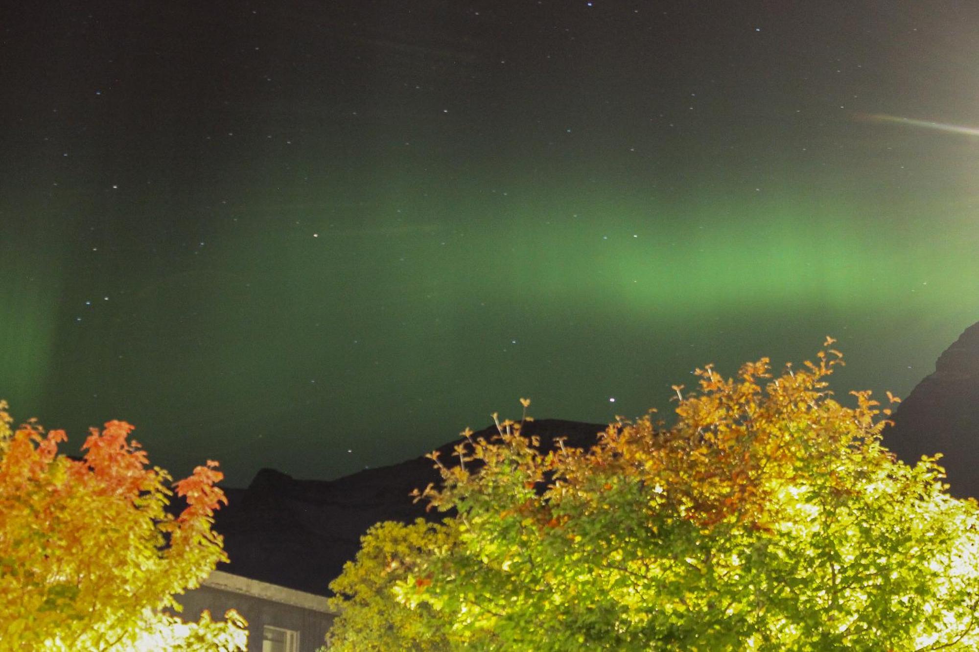 Hotel Austur Reydarfjordur Luaran gambar
